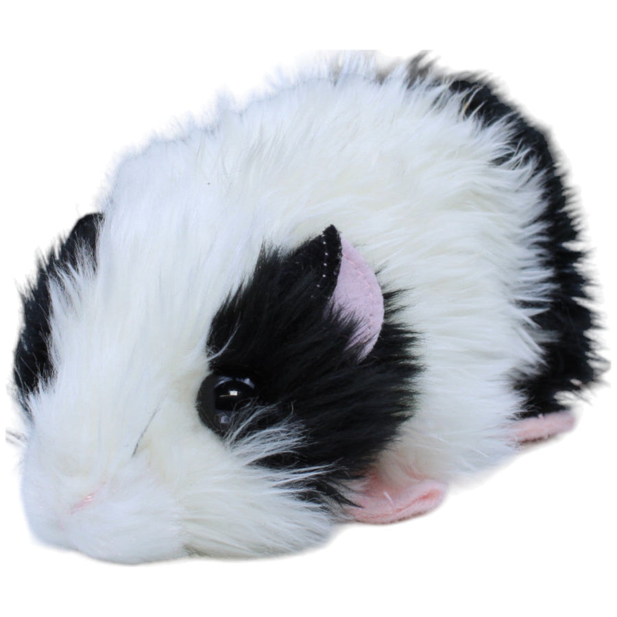 Meerschweinchen, mehrfarbig