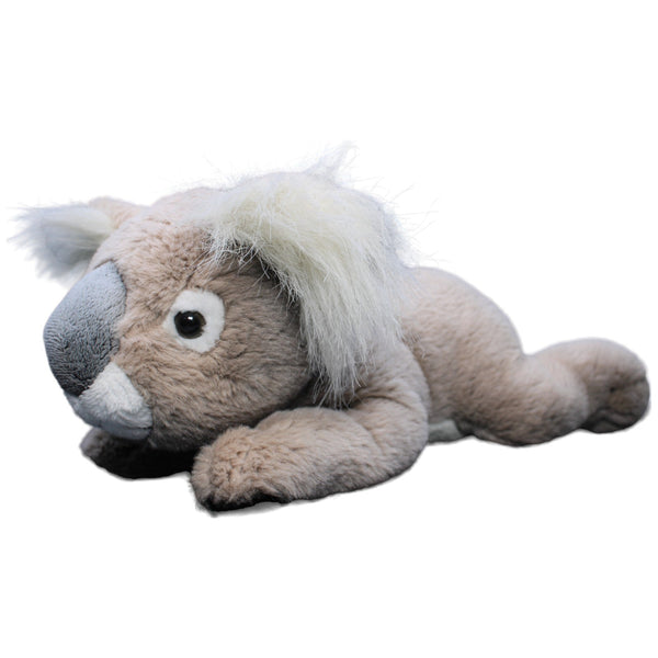 Koala, liegend