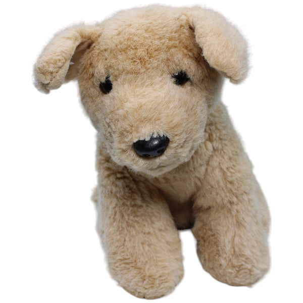 Golden Retriever, Barley