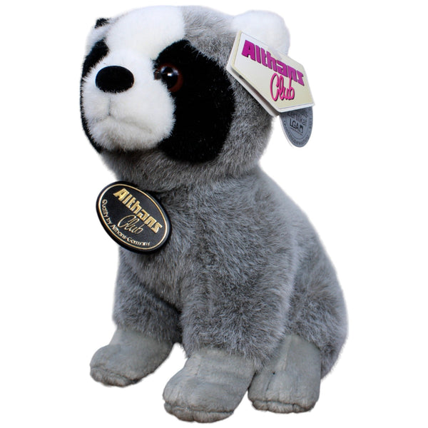Waschbär, sitzend