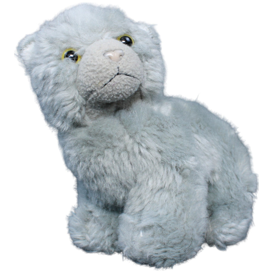 Katze, grau