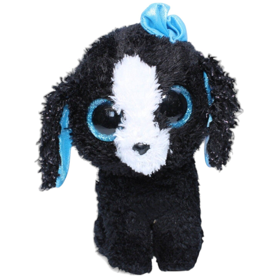 Hund, Pudel Tracey