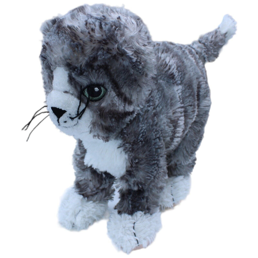 Katze, LILLEPLUTT